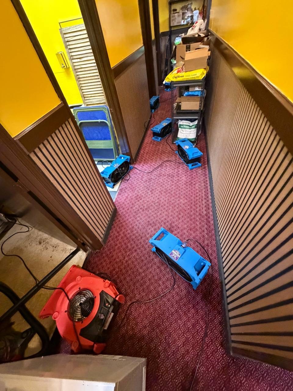 Air movers drying carpets in a commercial hallway